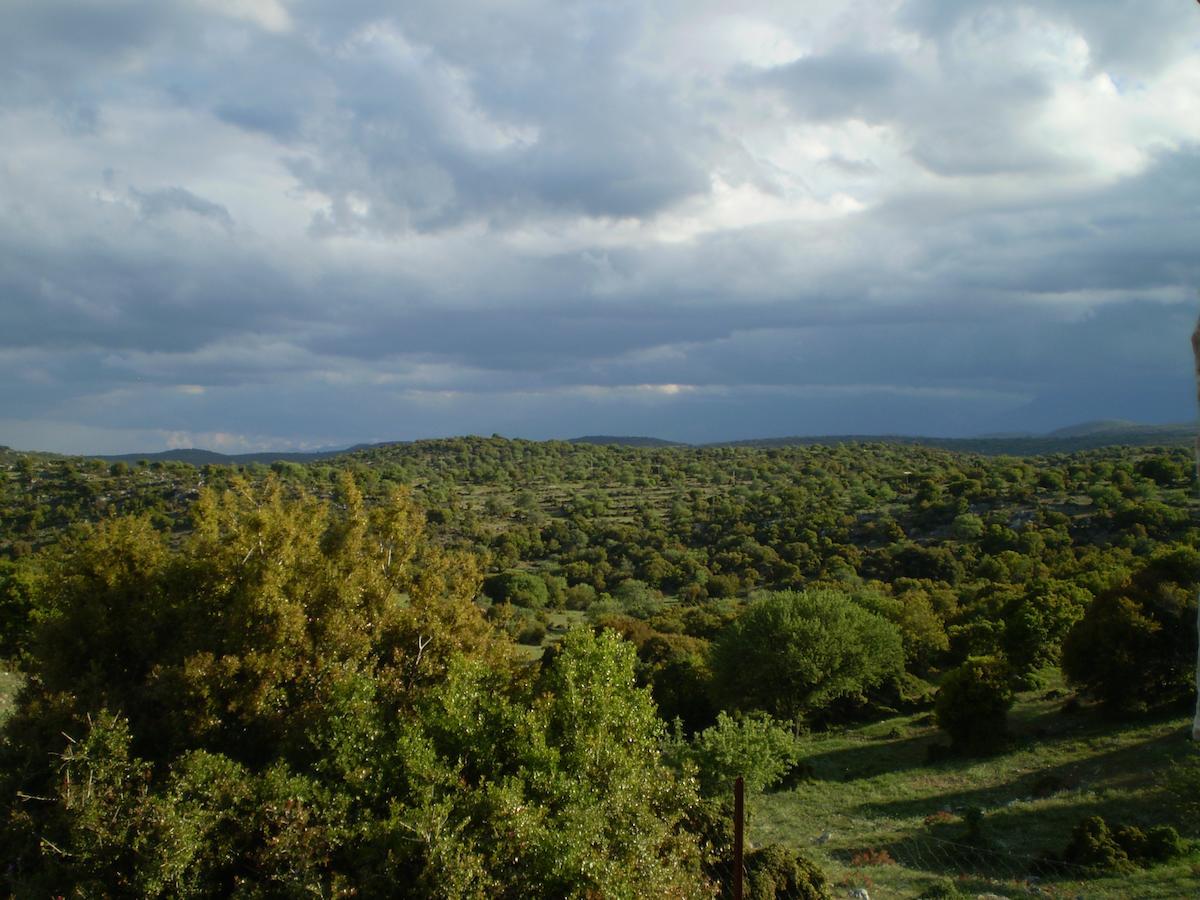 Arachovitika Kalivia Hotel Karyes Bagian luar foto